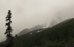 18 spruce (Yukon Journey – Kluane National Park)