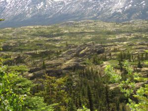 19a topography (Yukon Journey – Meziadin Junction to Whitehorse)