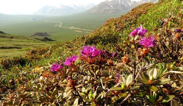 Tombstone Territorial Park