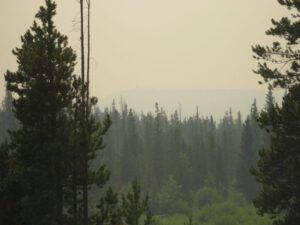 33 internet hill (FIRE!)