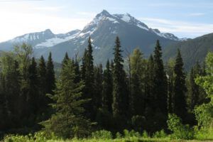 4 specctacular day (Highway 5)