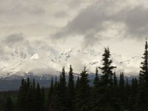 4 to Kluane lake (Yukon Journey – Kluane National Park)