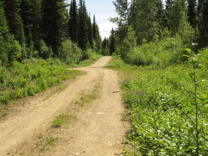 6a treeplant camp (Highway 5)