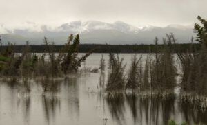 8 back to haines j. (Yukon Journey – Kluane National Park)