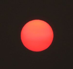 10 morning sun (Harry: A Wilderness Dog Saga)