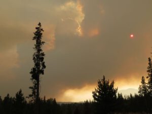 13 sun plus fire tower best (Wind)