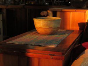 14 evening light (Harry: A Wilderness Dog Saga)