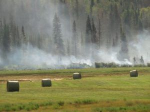 16 haybales (The Trip To Town)