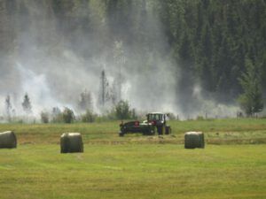 17 turning hay (The Trip To Town)