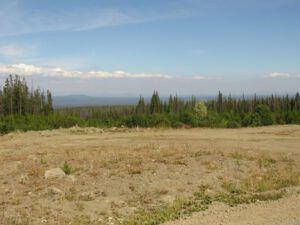 18 slab of smoke (Fire Part Four – Back-burning.)