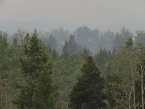 18a view (Fire Part Four – Back-burning.)