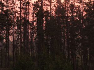 19 pink smoke (Fire Part Four – Back-burning.)