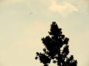 25 bomber (Kleena Kleene Fire Explosion)