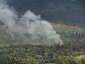 4 crowning (Fire Part Four – Back-burning.)