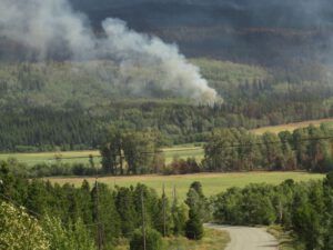 4a downtown KK best (Fire Part Four – Back-burning.)