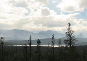 5 hidden valley best (Yesterday’s Wind.)