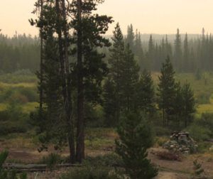 5 slightly clearer Sat morn (Wind)