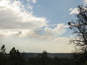 7 big stick build-up (Yesterday’s Wind.)