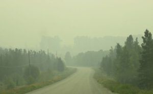 8 downtown KK (Harry: A Wilderness Dog Saga)