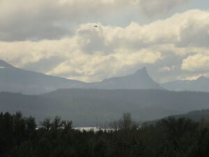 8 heli and FP (Yesterday’s Wind.)