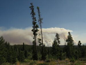 kk fire (The Fire Dragon)