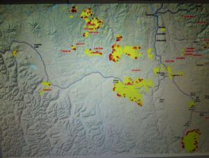 modis (Harry: A Wilderness Dog Saga)