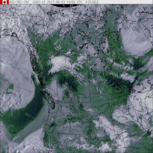 smoke on sat photo (Harry: A Wilderness Dog Saga)
