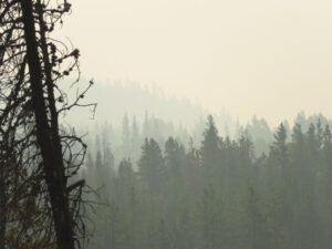 south bluff (The Fire Dragon)