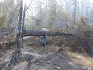 x P clearing road (Fire Explosion Aftermath)