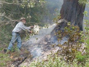 x P quenching fir (Fire Explosion Aftermath)