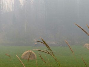 x hay (Fire Explosion Aftermath)