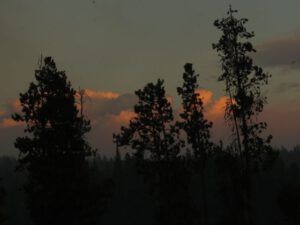 x pyrocumulus 2 (Fire Explosion Aftermath)