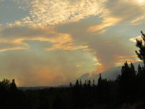 1 evening last posted (Life Goes On)