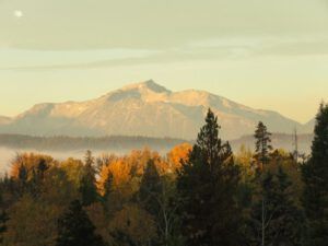 10 morning (Preparing for Harry’s Book Tour)