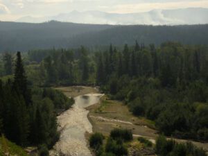 12 PP and McClinchy (Life Goes On)