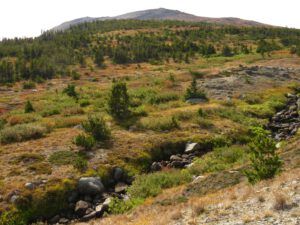 13 into the open (The Plateau)