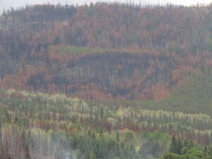 17 KK hill colours (Smoky September)