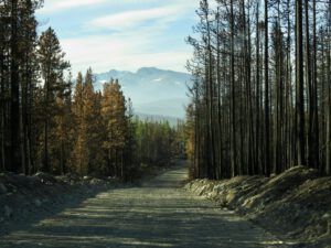 2 road to PP (The Plateau)