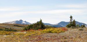 24 unknown mts. (The Plateau)