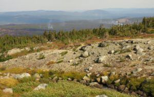 28 fires burning (The Plateau)