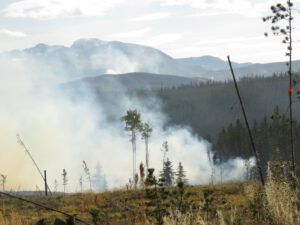 29 fire closeup (The Plateau)