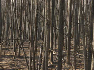 3 into the black (The Plateau)