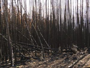 3a into the black 2 (The Plateau)