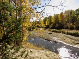 7b river (Preparing for Harry’s Book Tour)