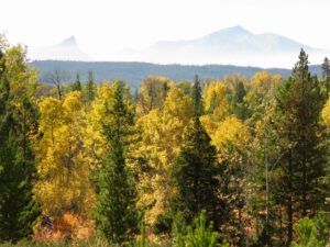 8 always the smoke (Preparing for Harry’s Book Tour)