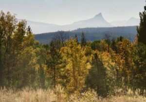 8a finger peak (Preparing for Harry’s Book Tour)