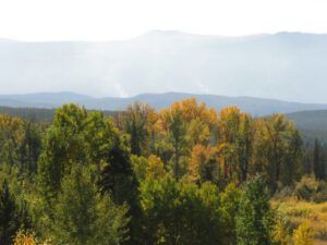 8b puffers (Preparing for Harry’s Book Tour)