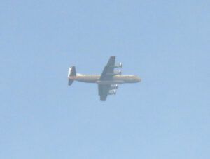 9 elektra (Life Goes On)