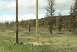 IMG_6760 (To Town Again and the Precipice.)