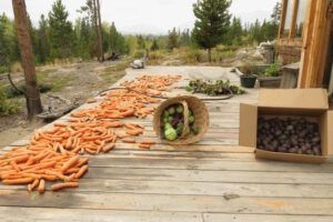 IMG_6813 (Preparing for Harry’s Book Tour)